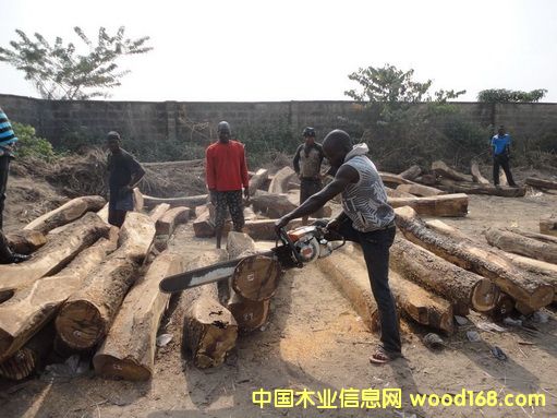 �����S�����Ԕ��(x��)��B