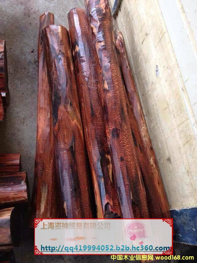 �߼yľ��Ԕ����B