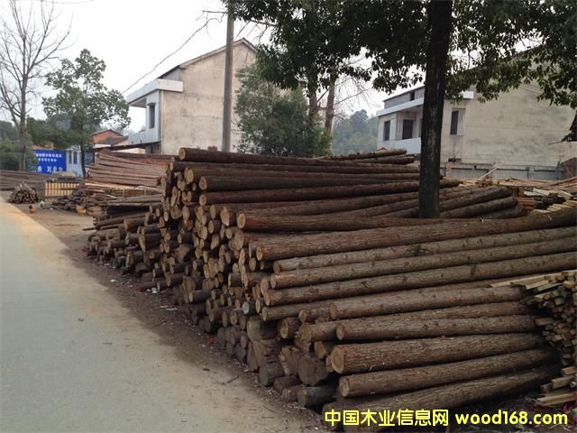 杉原條的詳細(xì)介紹