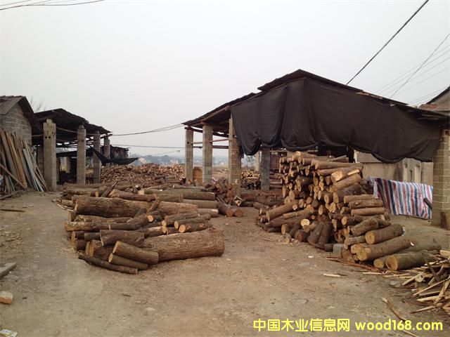 雜木的詳細(xì)介紹