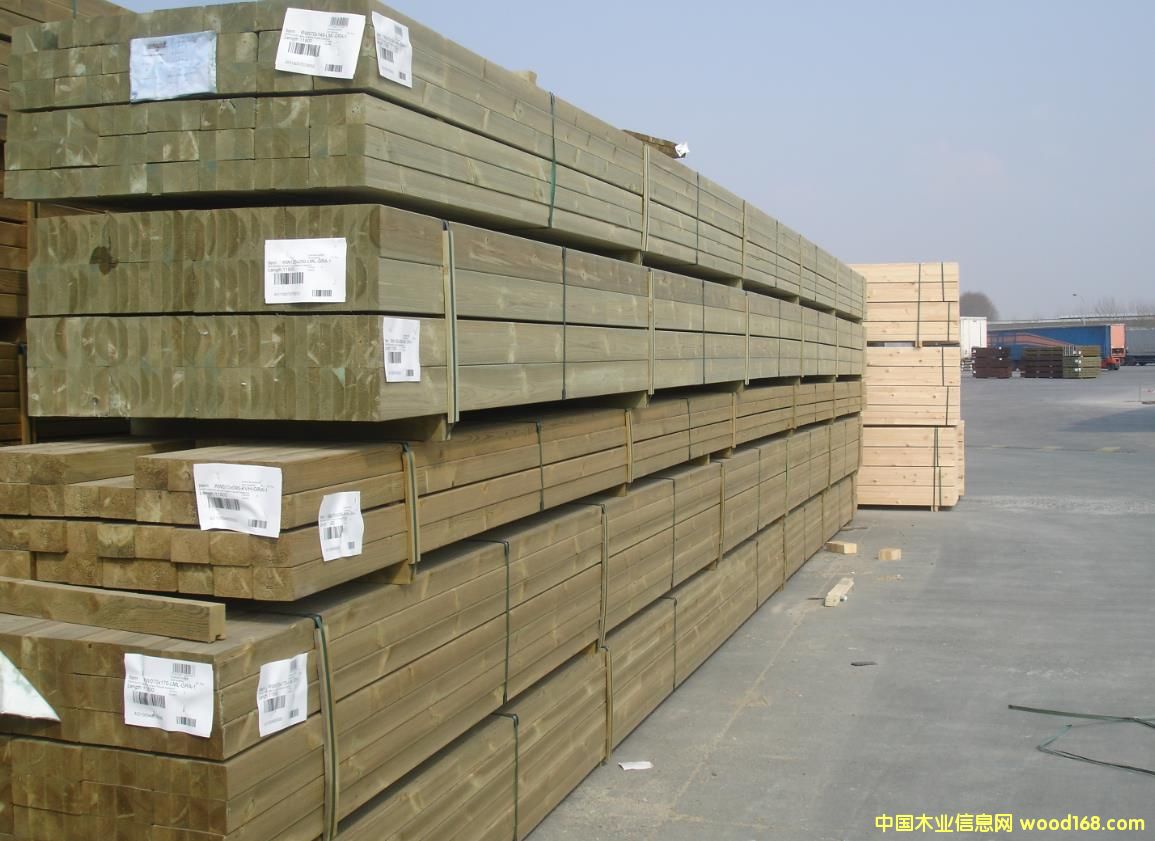 11.8�׳��L����ľ��Ԕ����B