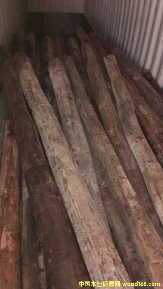 �t��֦��Ԕ��(x��)��B