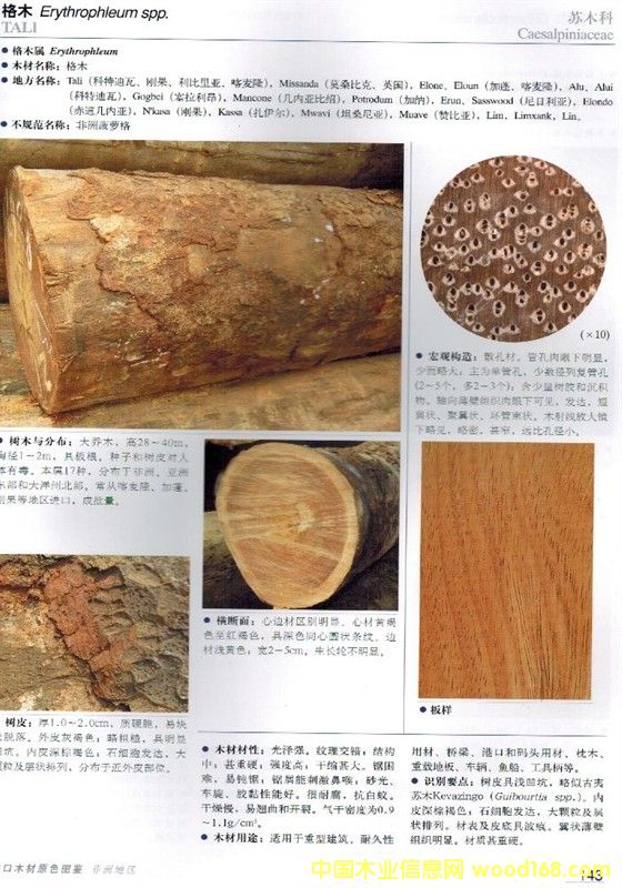 ������Ԕ��(x��)��B