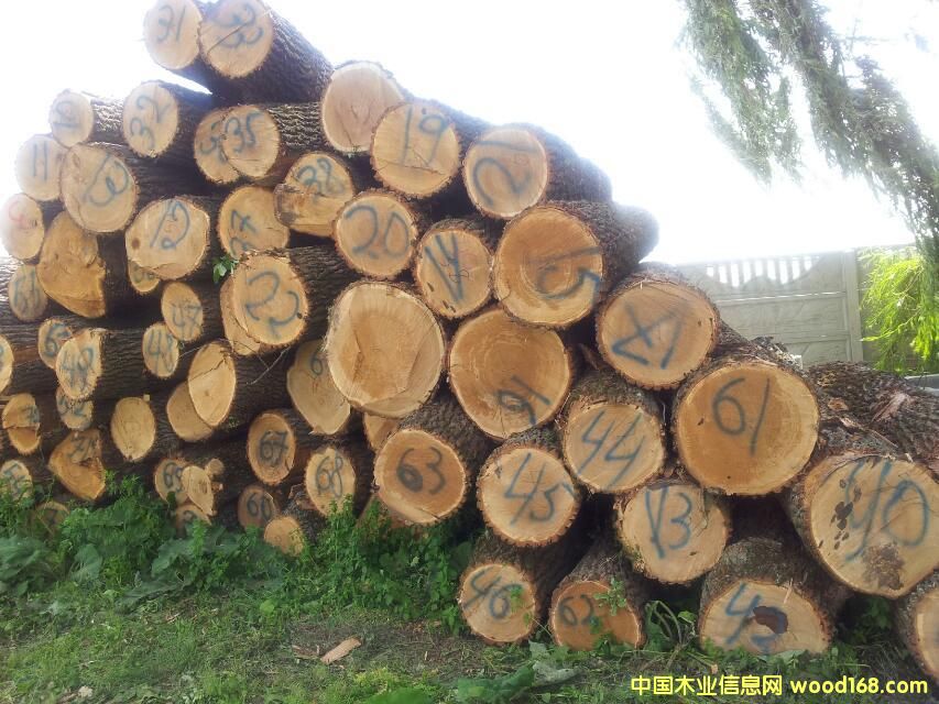 ��ľ��Ԕ����B