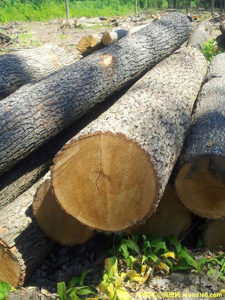 ��ľ��Ԕ����B