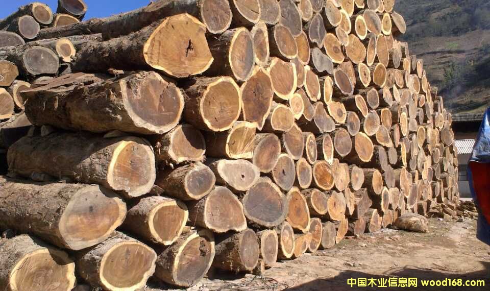 �S���ԭľ�����_(t��i)�������