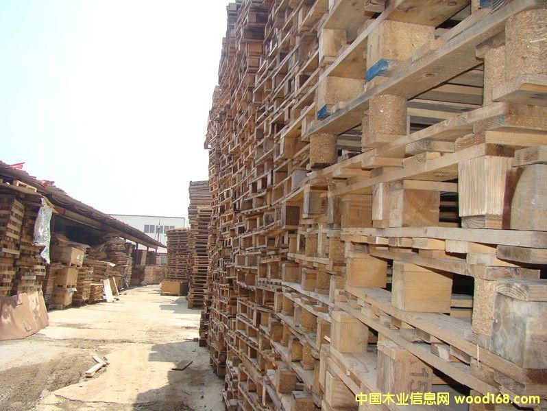 ����ľ�|(zh��)�бP