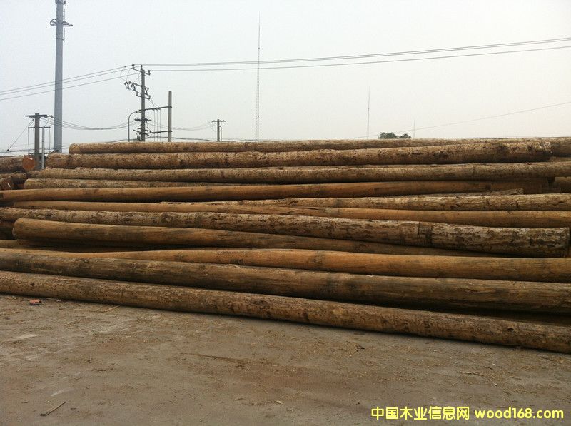 ����(gu��)�Ϸ���ԭľ��Ԕ��(x��)��B