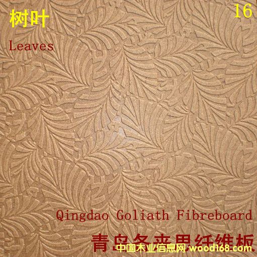 �����w�S��--16 ���~