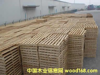 ľ�бP(p��n)5��Ԕ��(x��)��B