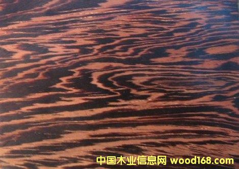 ���޴��u��ľ��Ԕ����B