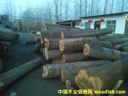 [��] ��������(y��ng)���ϰח�ľ��ɻ��������ח�ľ���