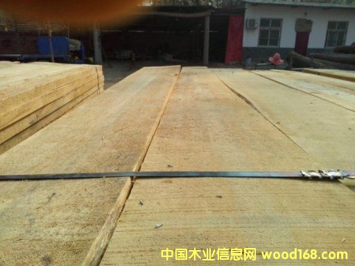 [��] ����(y��ng)���ϗ�ľ��ɰ��