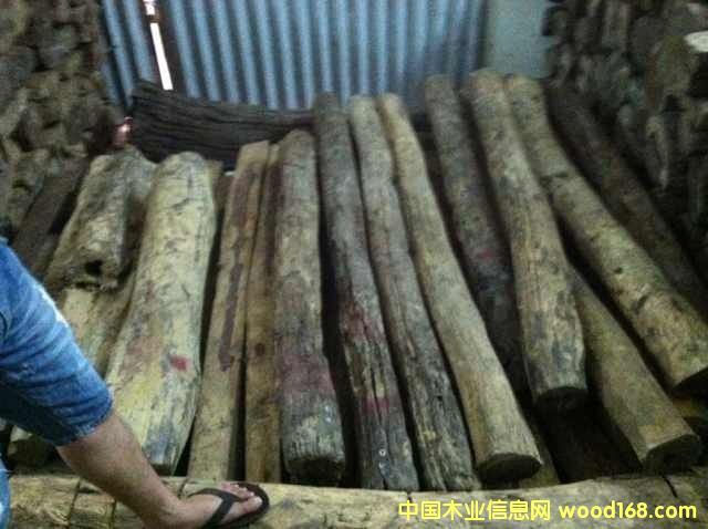 �ϓ�t��֦����ֺ�S̴����Ԕ����B