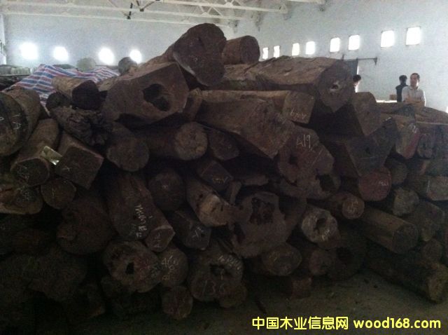 �ϓ�t��֦��Ԕ����B