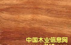 �����̴��Ԕ��(x��)��B