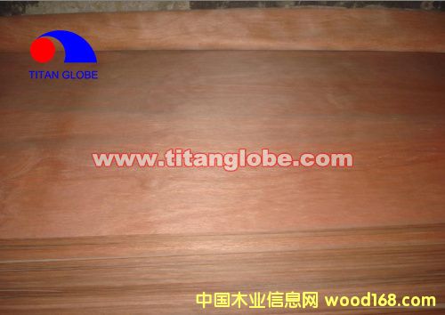 MLH Veneer - Titan Globe��Ԕ��(x��)��B