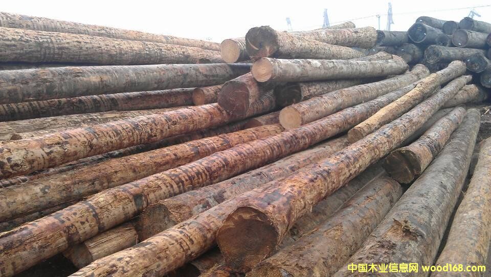 ����(gu��)�Ϸ���ԭľ