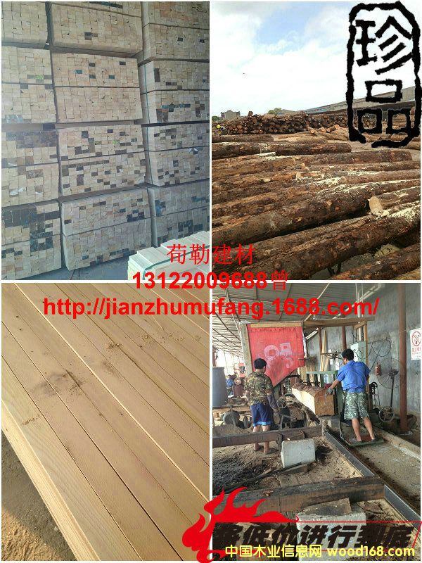 ������ľ