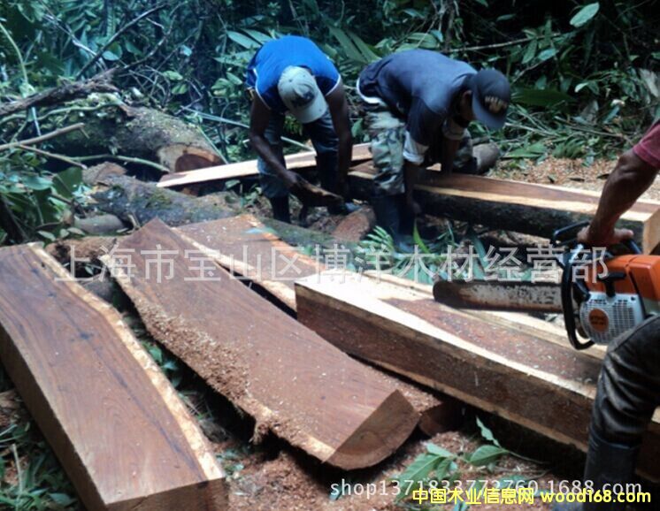 ���~�S���沮��Ɲ�S̴��Ԕ��(x��)��B