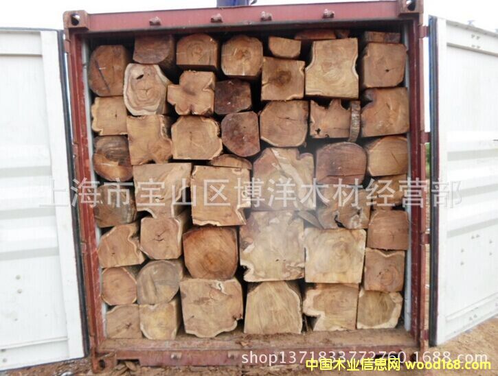 ���ށ�����