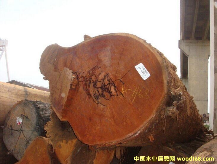 ����(y��ng)�Sɰľԭľ���̓r��ؐ �޸�