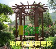 ����̼��ľ��ͤ��Ԕ����B