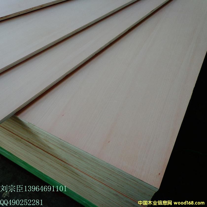 �t�������Ԕ����B