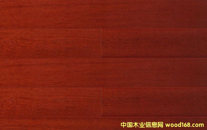 番龍眼的詳細(xì)介紹