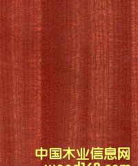 ���B(t��i)���Ԕ��(x��)��B