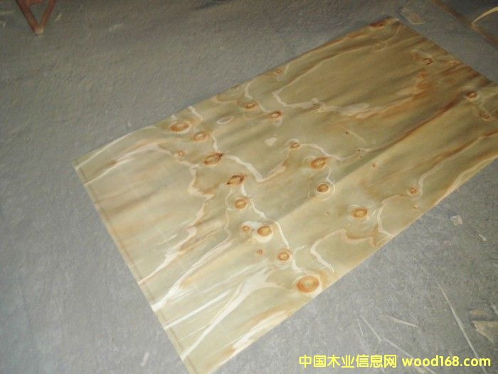 ݗ������Ƥ(����ģ����Ƥ)