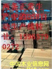 osb��Ԕ��(x��)��B