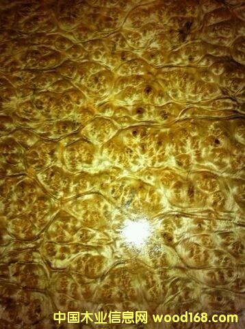 �S������Ԕ����B