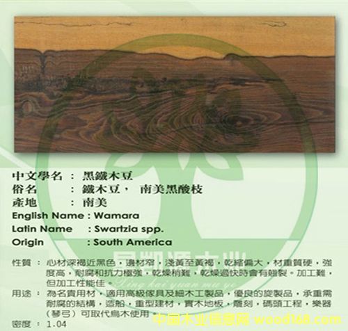 ����-����֦��Ԕ����B