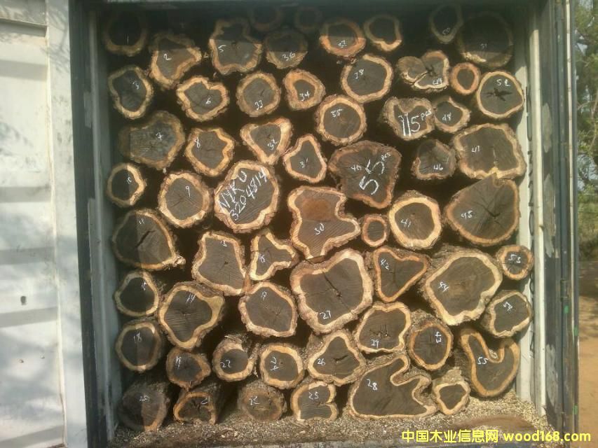 �Ϲ�̴����ľ��Ԕ��(x��)��B