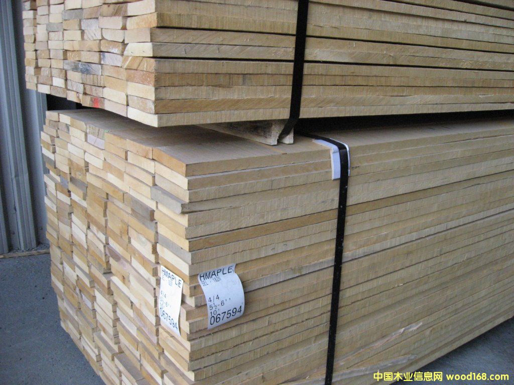 硬楓的詳細(xì)介紹