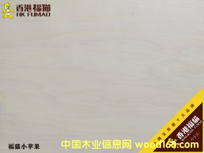 ��۸�؈С�O����Ԕ��(x��)��B