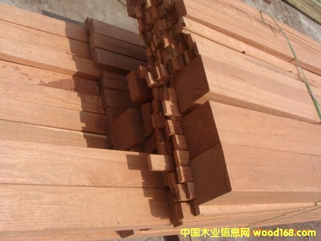 ����˹���T����˹