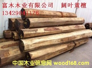 ӡ�����֦����~�S̴���