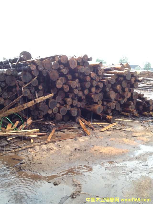 [��] ��ُ�ձ�ɼľ���҂�һ��؛Դ��ɼ���