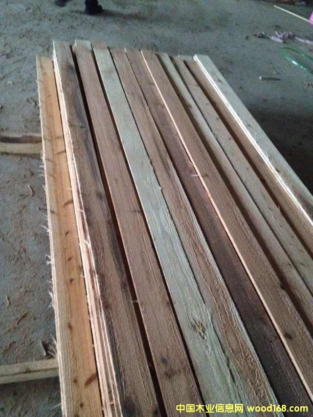 [��] ��ُ�ձ�ɼľ���҂�һ��؛Դ��ɼ���