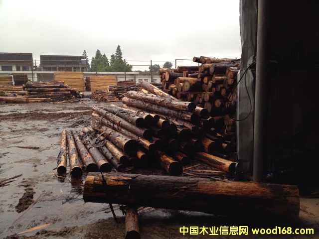 [��] ��ُ�ձ�ɼľ���҂�һ��؛Դ��ɼ���