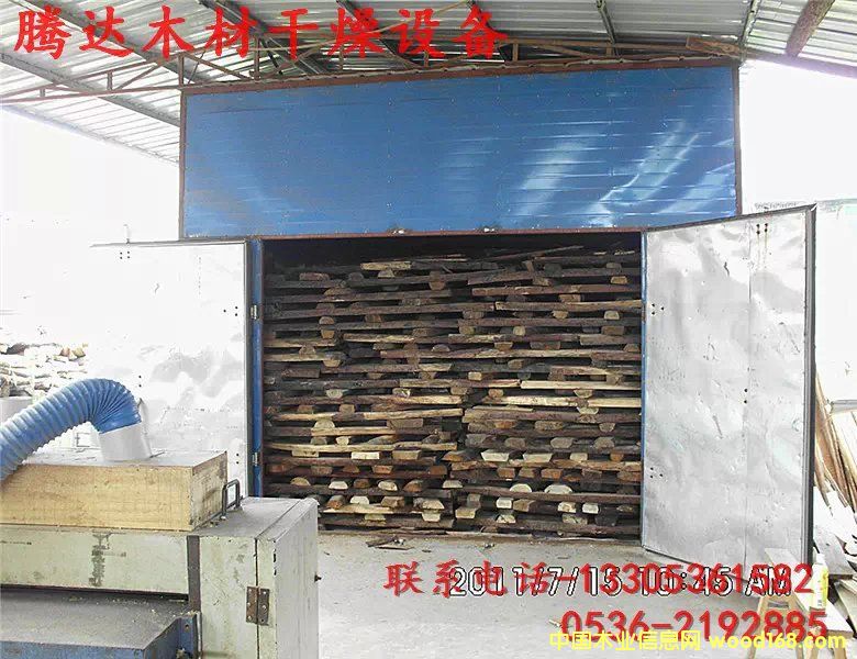 �tľ�����