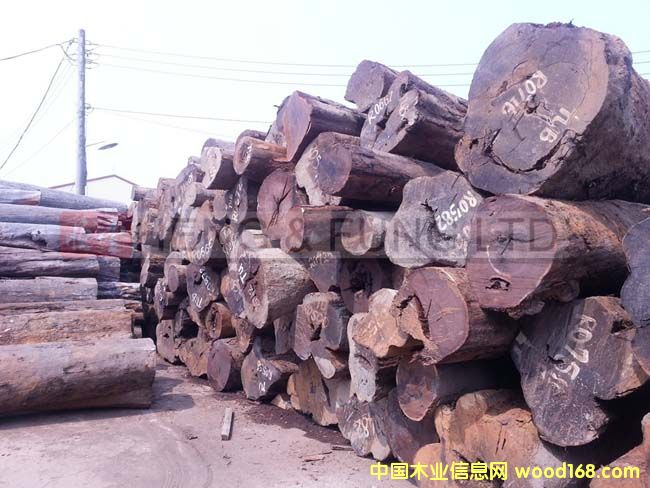 ���_�T����̴ԭľ