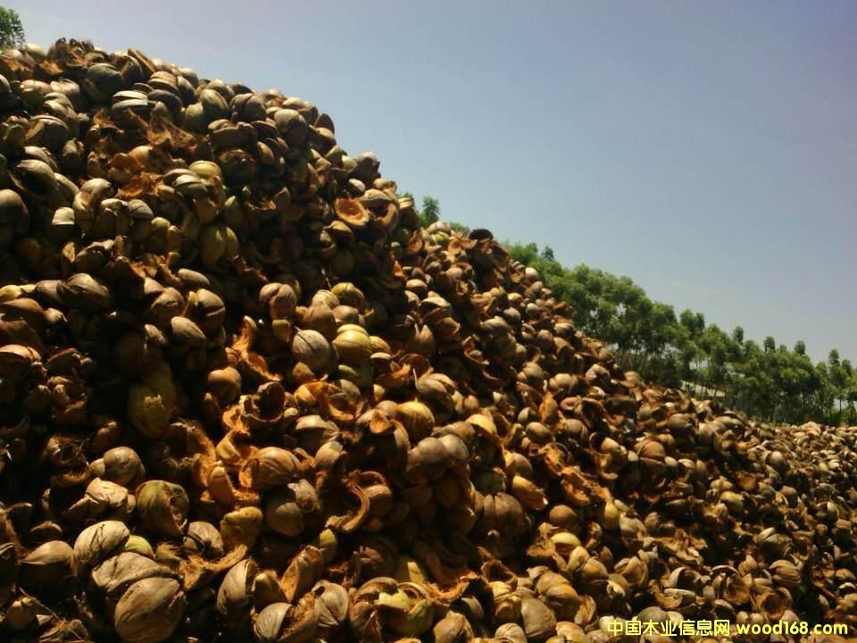 Ҭ������Ҭ��Ԕ����B