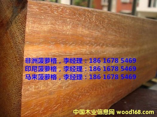 ���޲��}��ľ��Ԕ��(x��)��B