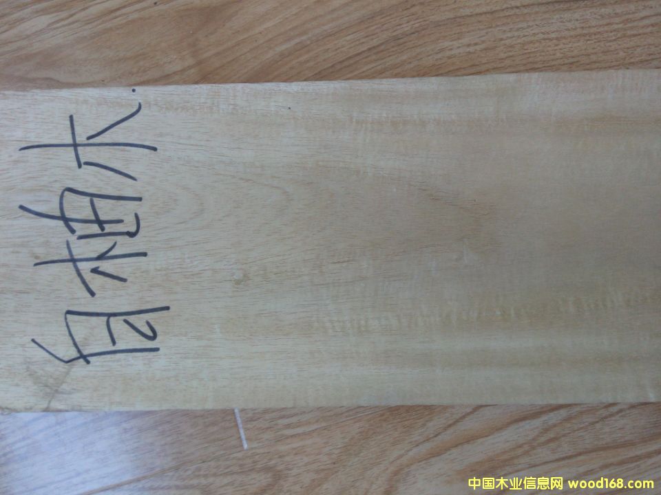 ����ľ��Ԕ��(x��)��B