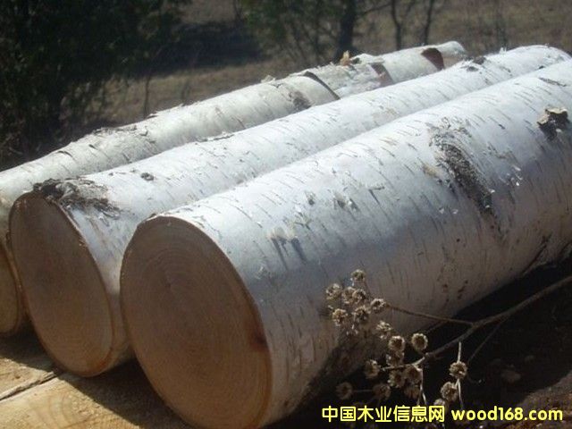 �|����ľ��Ԕ��(x��)��B