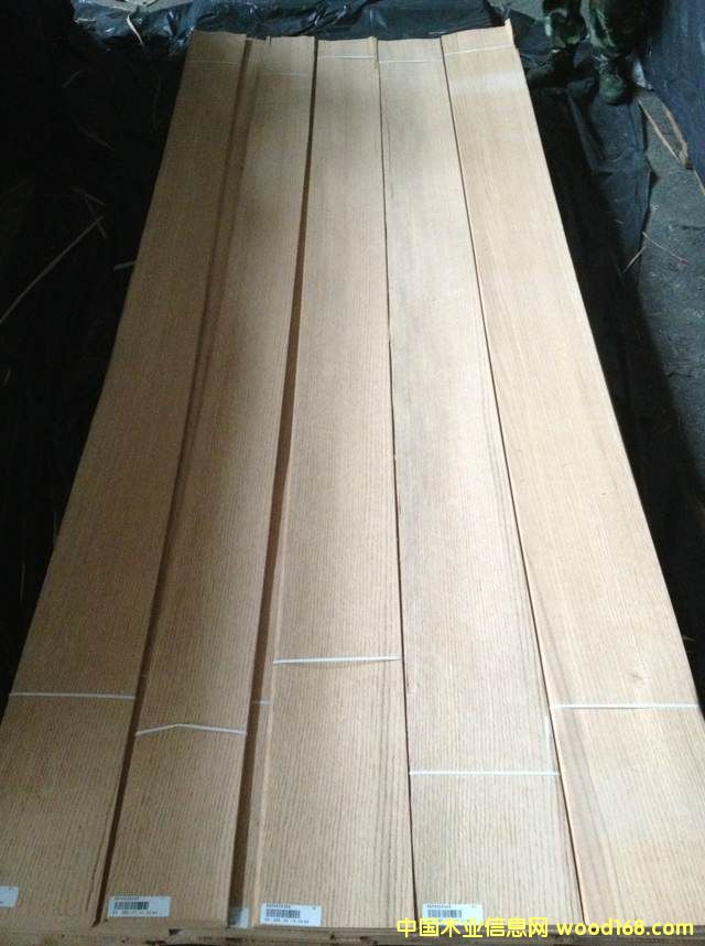 紅橡的詳細介紹