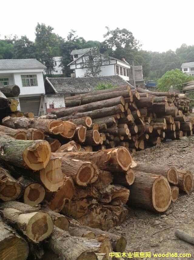 �ľ�Ҿߵ�Ԕ��(x��)��B